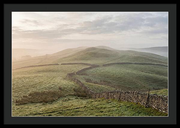 Rolling Green Hills At Dawn