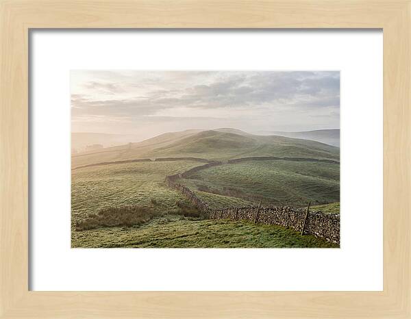 Rolling Green Hills At Dawn