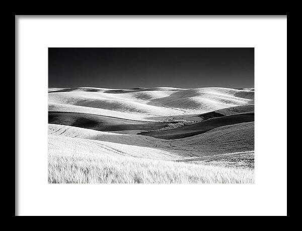 Rolling Green Hills In Spring