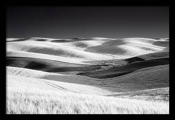 Rolling Green Hills In Spring