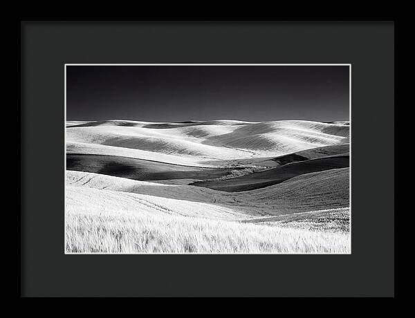 Rolling Green Hills In Spring