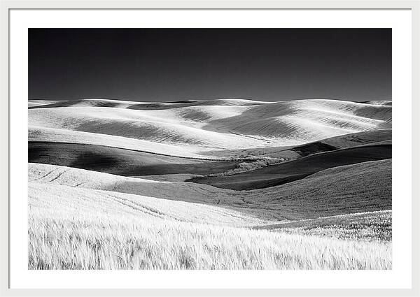 Rolling Green Hills In Spring