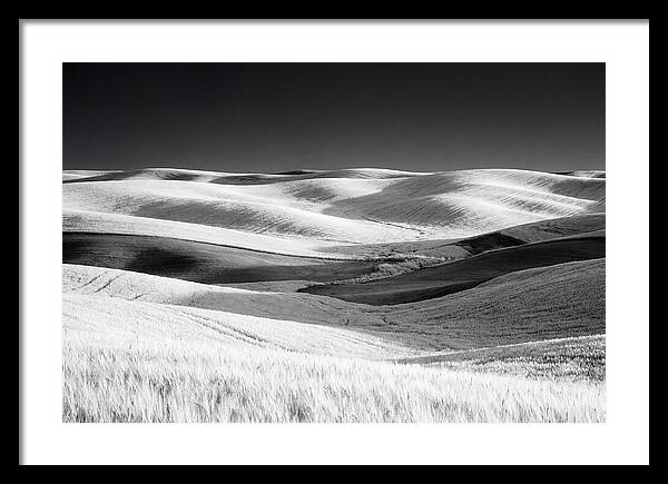 Rolling Green Hills In Spring