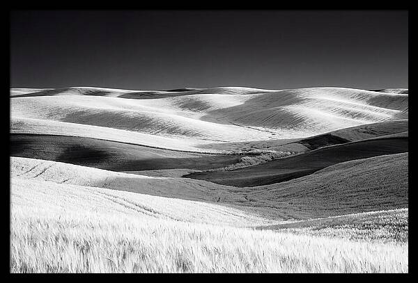 Rolling Green Hills In Spring