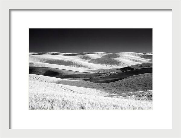 Rolling Green Hills In Spring