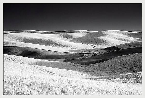 Rolling Green Hills In Spring