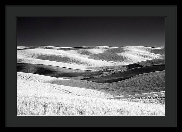 Rolling Green Hills In Spring