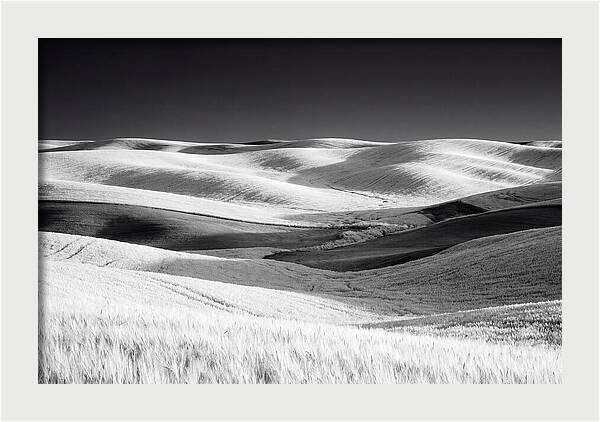 Rolling Green Hills In Spring