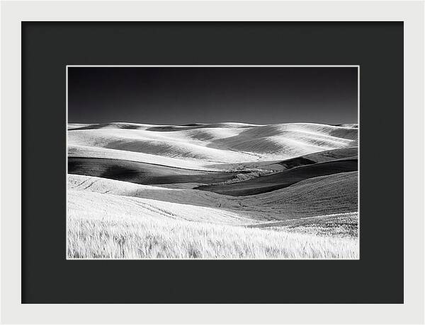 Rolling Green Hills In Spring