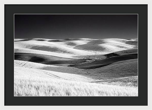 Rolling Green Hills In Spring