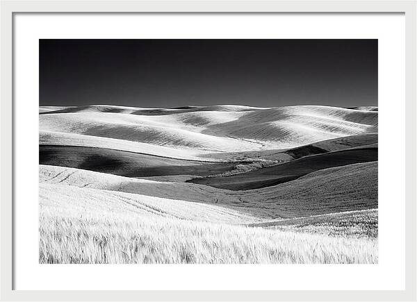 Rolling Green Hills In Spring