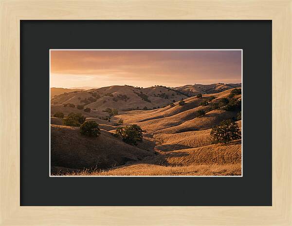 Rolling Hills At Sunset