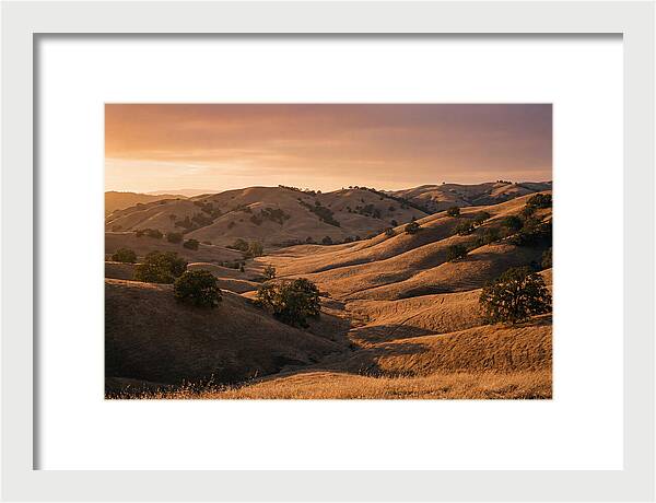 Rolling Hills At Sunset
