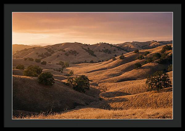Rolling Hills At Sunset