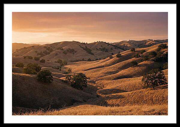 Rolling Hills At Sunset