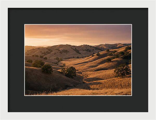 Rolling Hills At Sunset