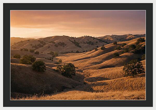 Rolling Hills At Sunset