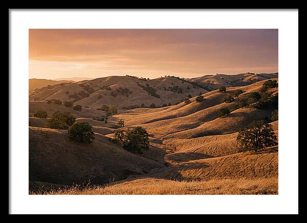 Rolling Hills At Sunset