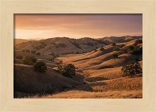 Rolling Hills At Sunset
