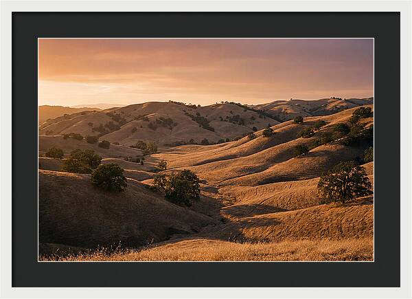 Rolling Hills At Sunset