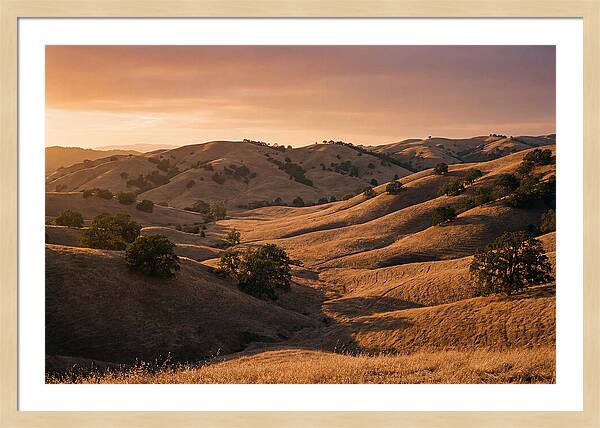 Rolling Hills At Sunset