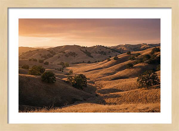 Rolling Hills At Sunset
