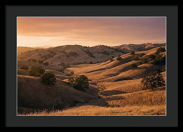 Rolling Hills At Sunset