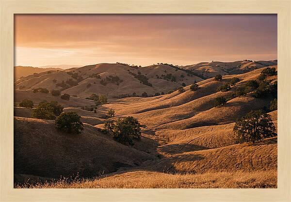 Rolling Hills At Sunset
