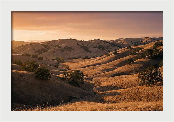 Rolling Hills At Sunset