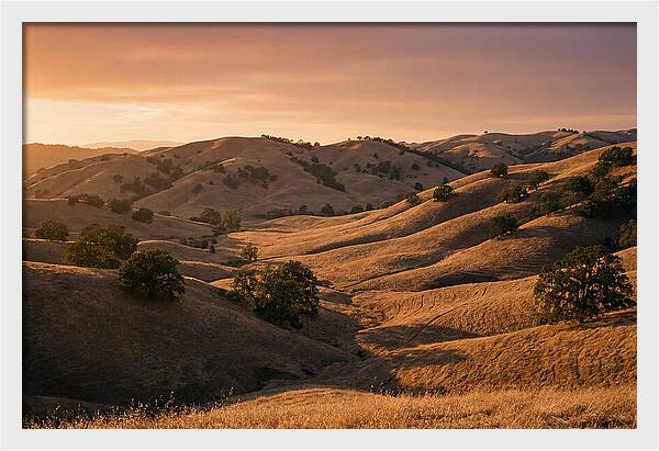 Rolling Hills At Sunset