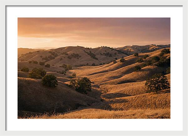 Rolling Hills At Sunset