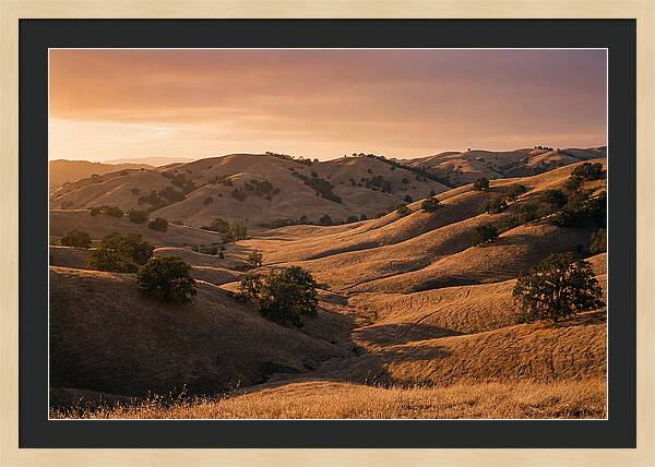 Rolling Hills At Sunset