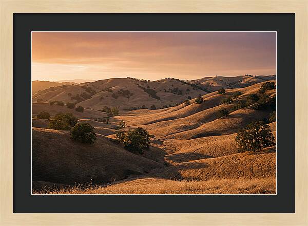 Rolling Hills At Sunset