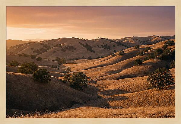 Rolling Hills At Sunset