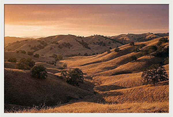 Rolling Hills At Sunset