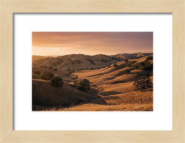 Rolling Hills At Sunset