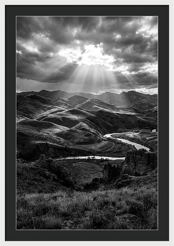 Rolling Hills Of Palouse