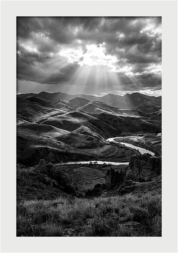 Rolling Hills Of Palouse