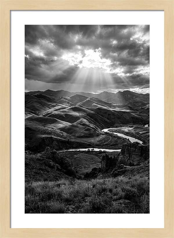 Rolling Hills Of Palouse