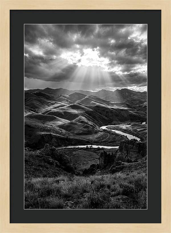 Rolling Hills Of Palouse