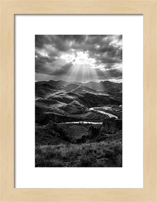 Rolling Hills Of Palouse