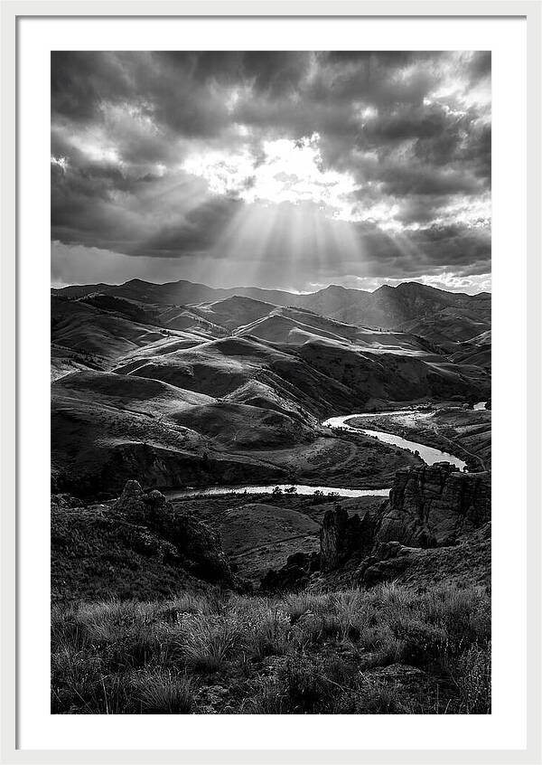 Rolling Hills Of Palouse