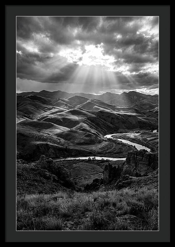 Rolling Hills Of Palouse