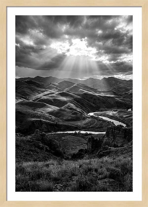 Rolling Hills Of Palouse