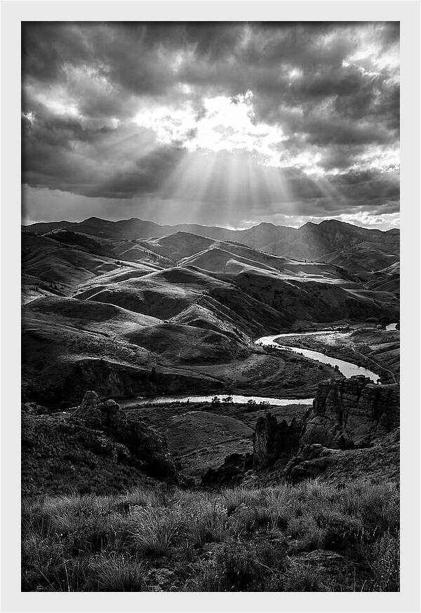 Rolling Hills Of Palouse