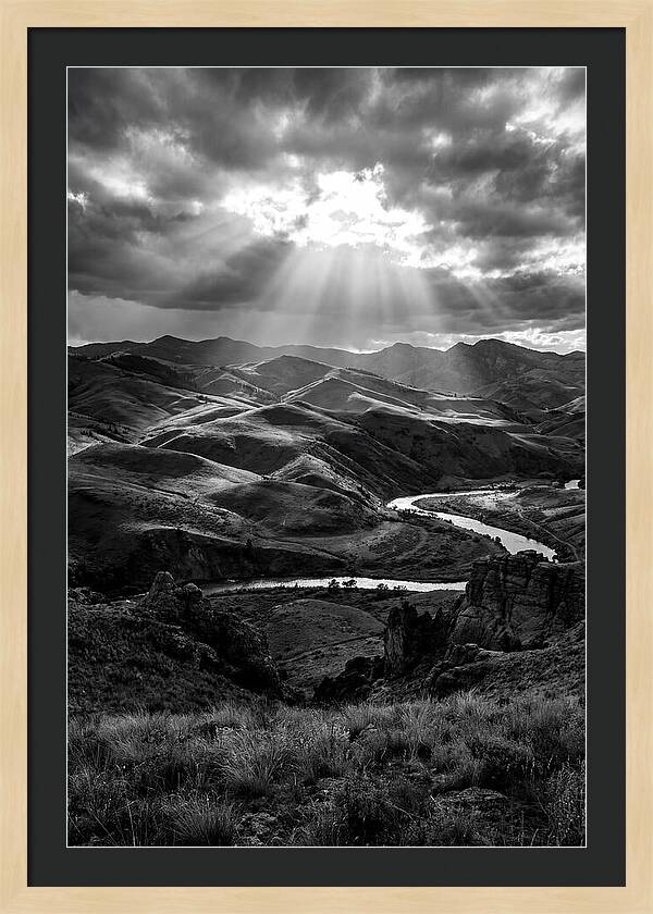 Rolling Hills Of Palouse