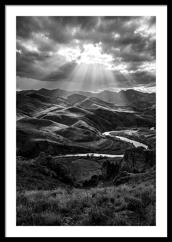 Rolling Hills Of Palouse