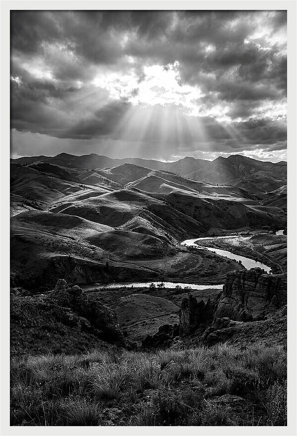 Rolling Hills Of Palouse