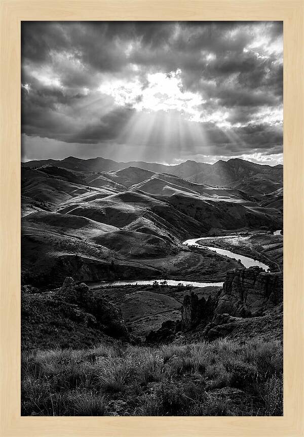 Rolling Hills Of Palouse
