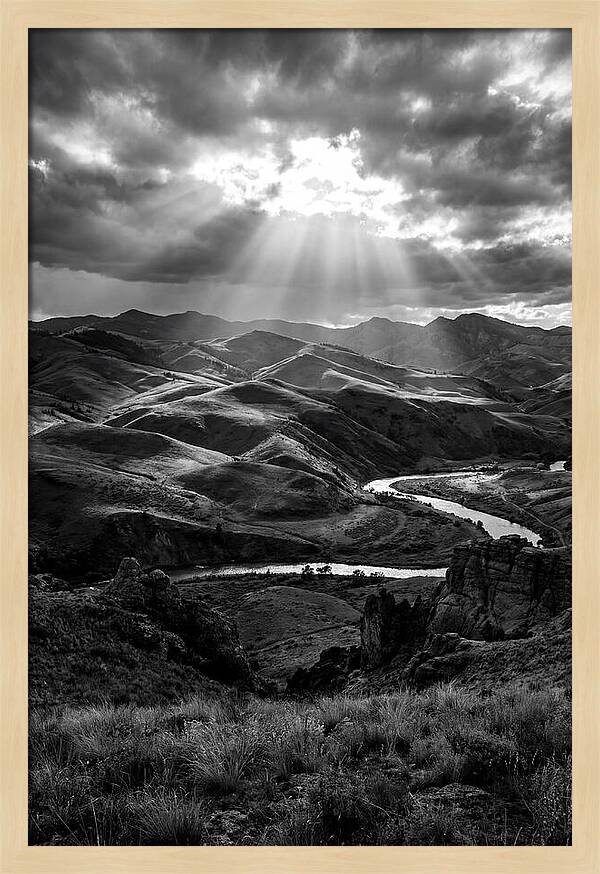 Rolling Hills Of Palouse
